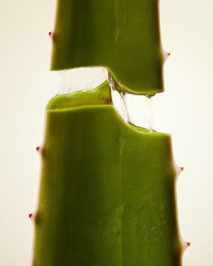 Fresh aloe vera slices